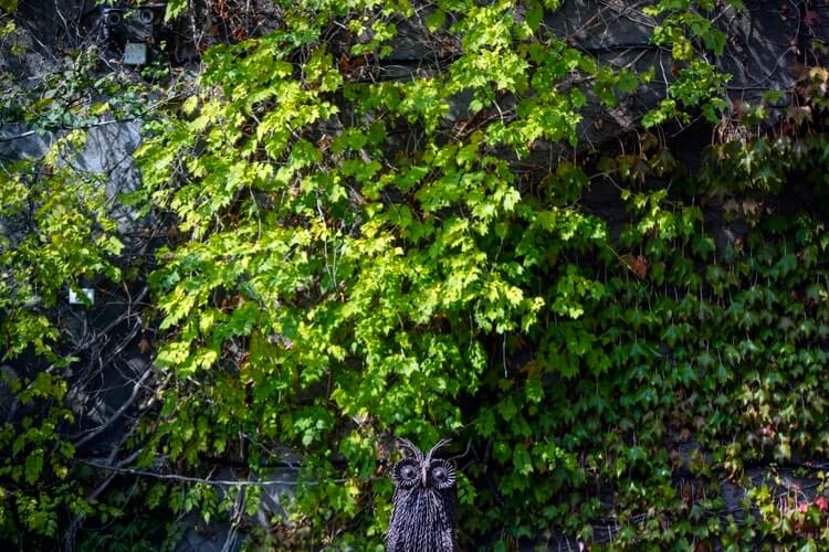 Wprowadzamy tekst alternatywny